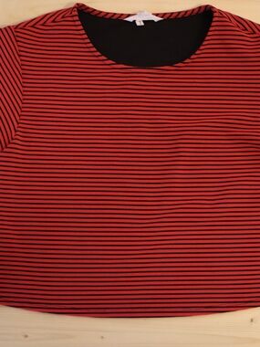 Women's Red and Black Striped Short Sleeve Crewneck Crop Top